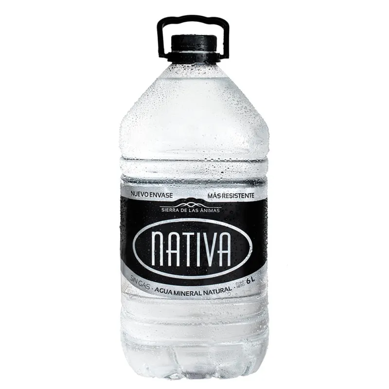 AGUA NATIVA BIDON S/ GAS 6 LT